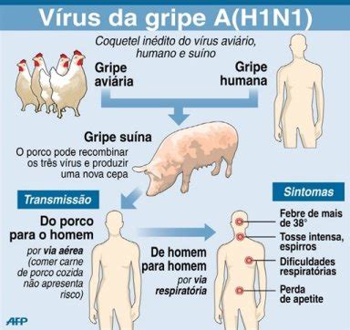 H1n1 E A Gripe Suina