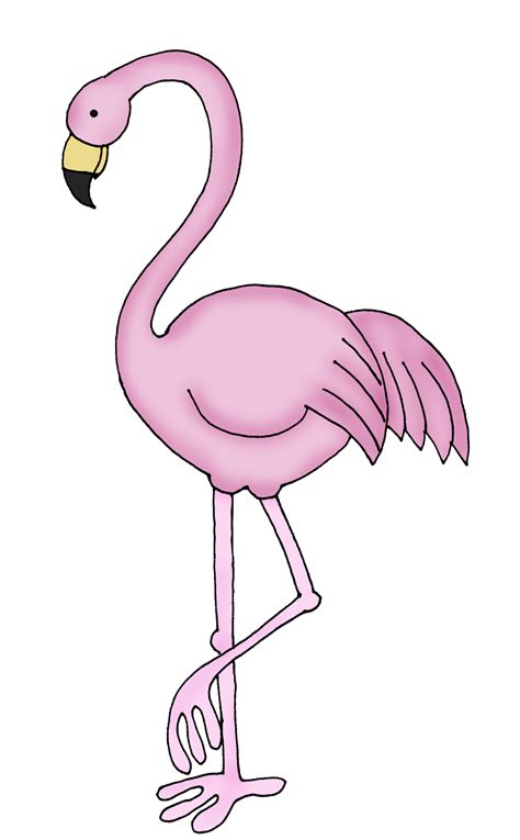 Flamigo! Come on, everybody knows at least one person with a pink ...