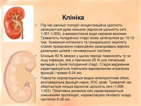 Хронічна ниркова недостатність. Гостра ниркова недостатність ...