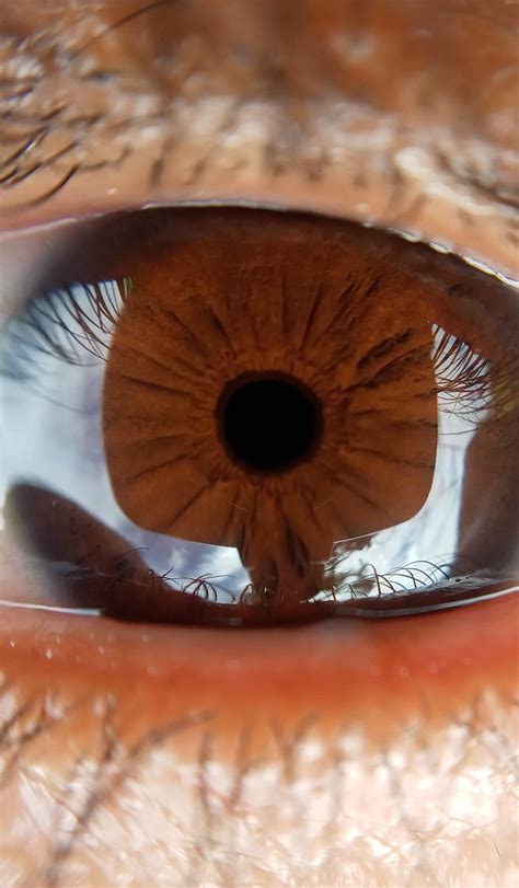 ojo humano alumno foto gratis en pixabay pixabay