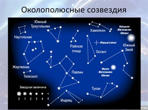 Презентация - Созвездия