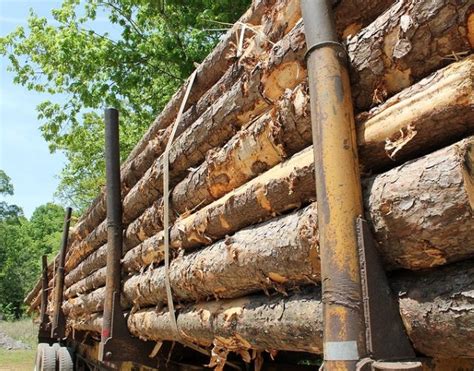 financement dequipement forestier jusqua   microcapital