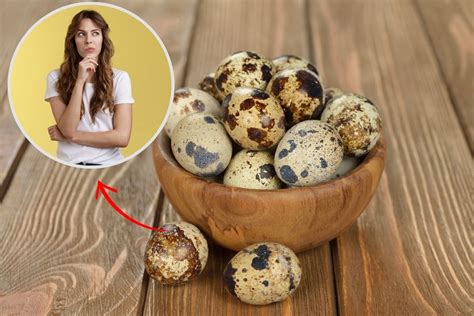Quantos Ovo De Codorna Pode Comer Por Dia - Quantos ovos de codorna posso comer por dia? Conheça os limites