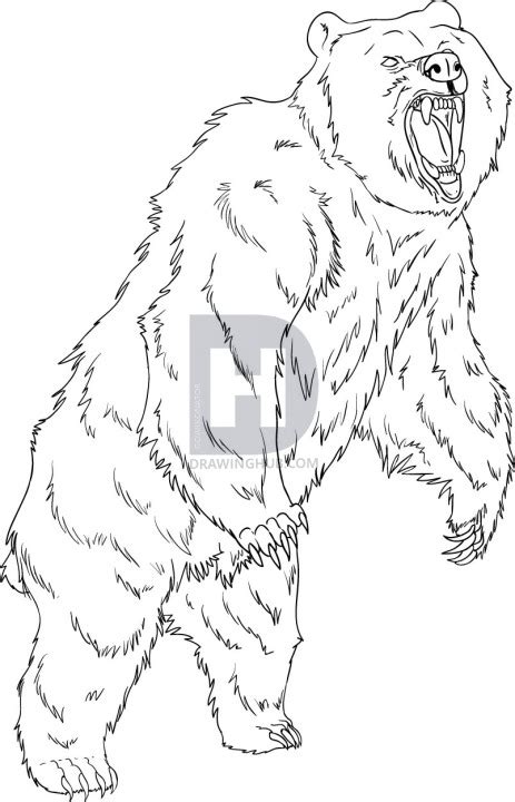 Scary Bear Drawing at PaintingValley.com | Explore collection of Scary ...