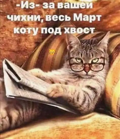 Чуток картинок | uCrazy.org