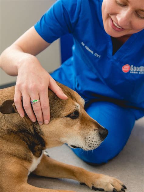 About Goodheart Broadway – Vet In Denver, CO 80209