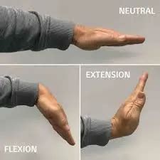 Wrist Flexion & Extension - Samarpan Physiotherapy Clinic