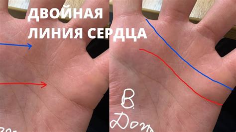 Двойная линия сердца /Значение/Хиромантия с Василисой Дождь - YouTube