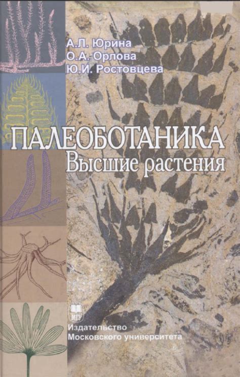 Палеоботаника. Высшие растения. | Геологический портал GeoKniga