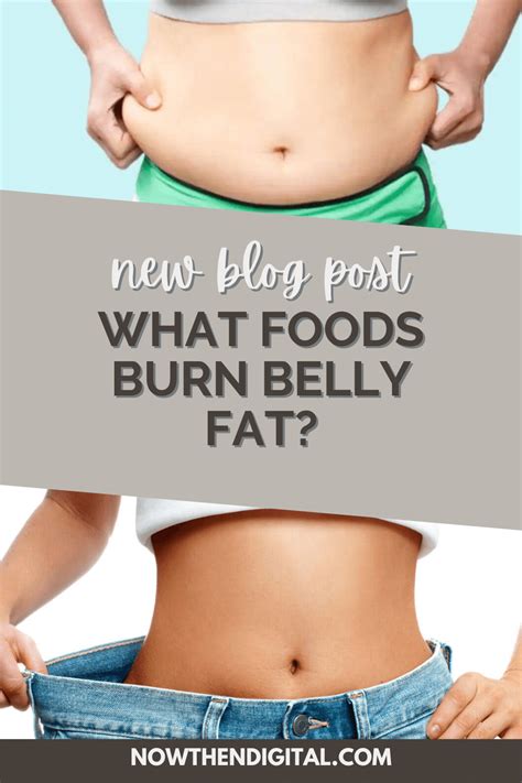 11 Foods That Burn Belly Fat Overnight - Now Then Digital