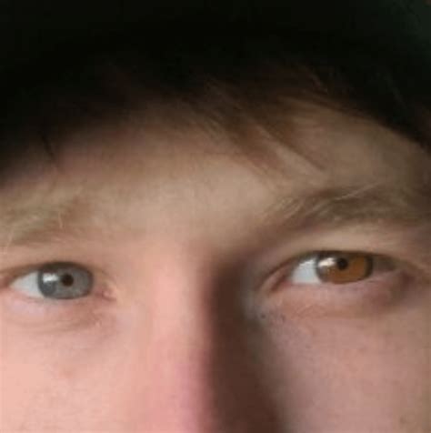 Complete hetrochromia : r/Hetrochromia