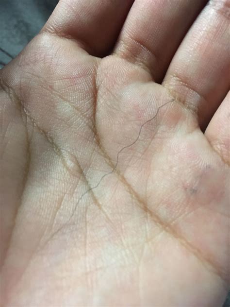 What Makes Hair Strands Thicker at Lynda Rahman blog