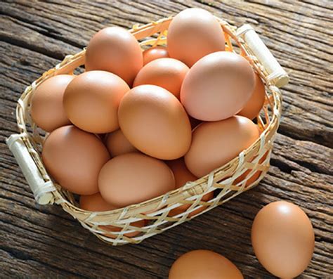 Where Can I Donate My Eggs