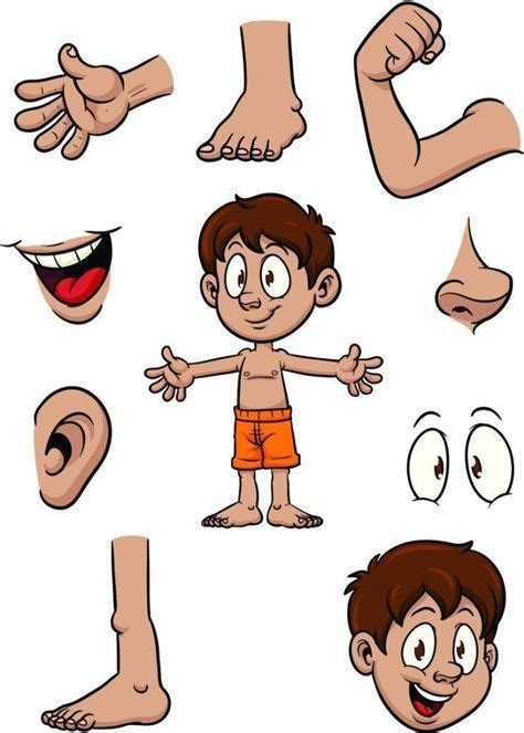 ideas de cuerpo humano cuerpo humano cuerpo el body parts