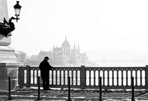 always in love - photoblog: Jégmadár