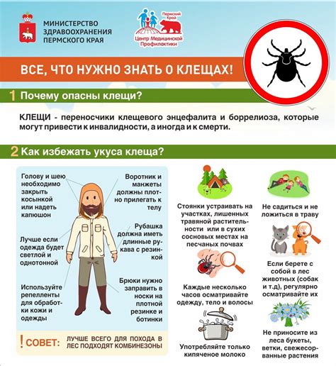 Памятка для жителей Перми: Как обезопасить себя от укуса клеща ...