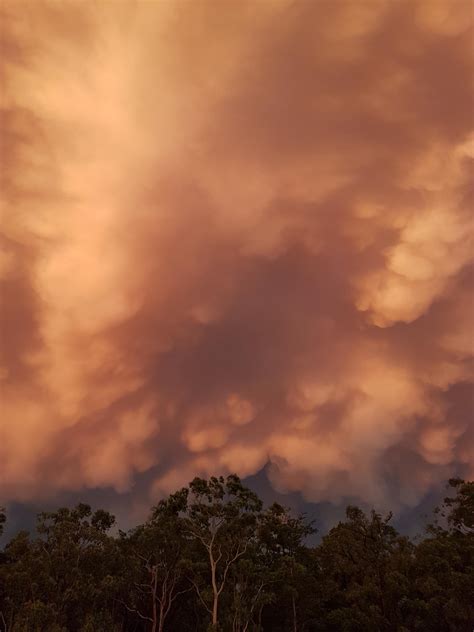 355 best Hailstorm images on Pholder | Wings Of Fire, Nature Is Fucking
