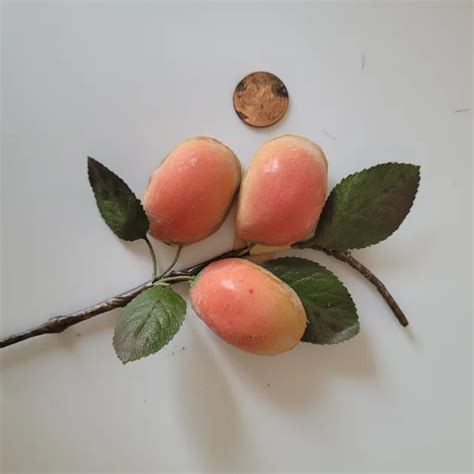 Antique Peach halves with leaves Made in USSR Occupied Germany