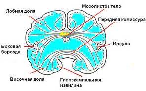 ОГЛАВЛЕНИЕ