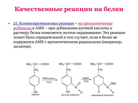 Качественные реакции на белки - презентация онлайн