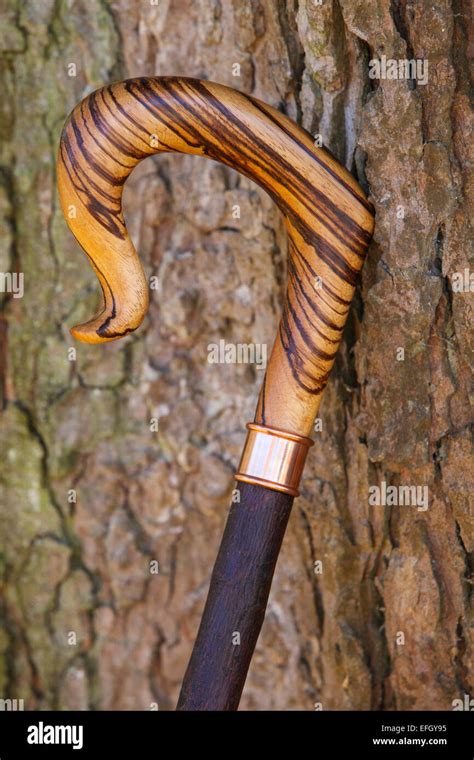 Traditional handcrafted crabapple wood shepherds crook with copper ...