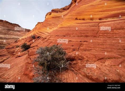 The Wave is a stunning geological formation in the Paria Canyon ...
