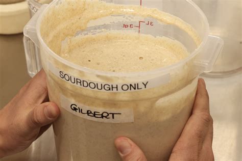 Our Sourdough Process — Fermentation Farm