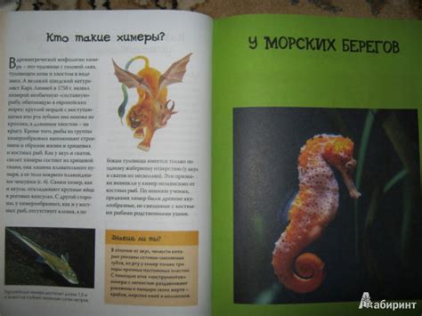 Книга: Рыбы. Энциклопедия - Владимир Свечников. Купить книгу, читать ...