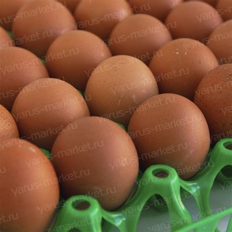 Многоразовая открытая пластиковая упаковка для 30 яиц