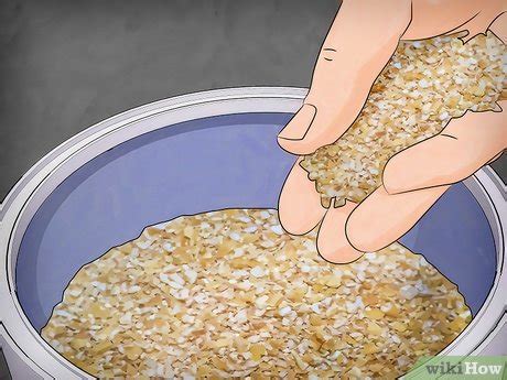 5 Simple Secrets To Raise A Feast Of Mealworms At Home