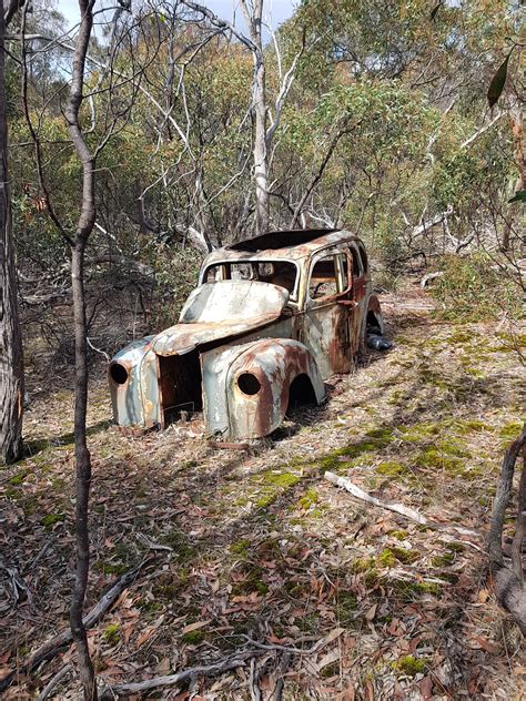 Club History – She Oaks Naturist Retreat