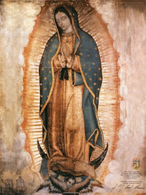 La Rosa de Guadalupe para Android - Download
