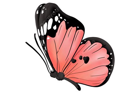 Desenhos De Borboletas Png - 7