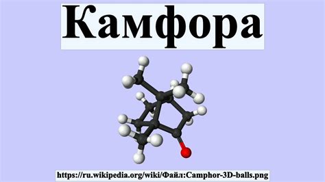 Камфора - YouTube