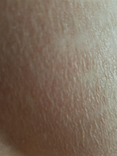 overview for sharky_sharky_sharky