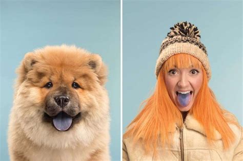 10 фото хозяев и их питомцев, которые очень похожи друг на друга