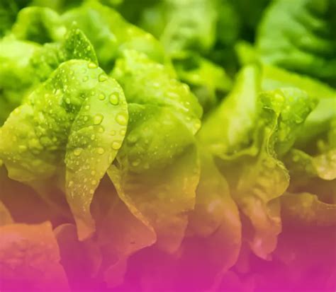 Капельница Детокс (Detox)| Инфузионная терапия (капельницы) в Москве ...