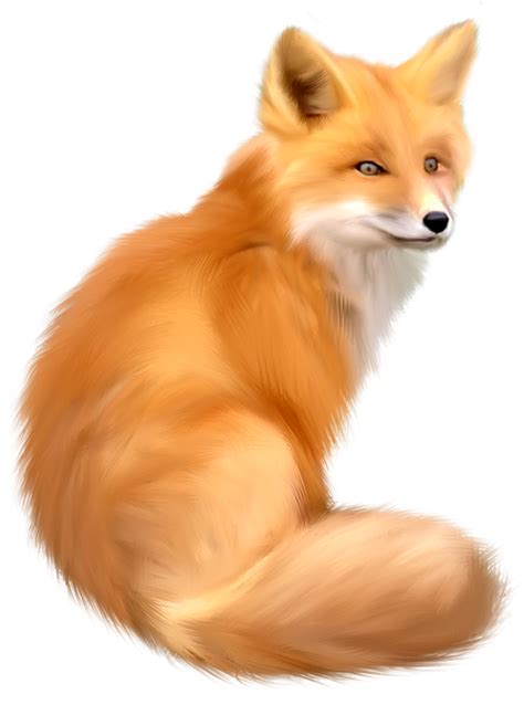 fox png image, free download picture