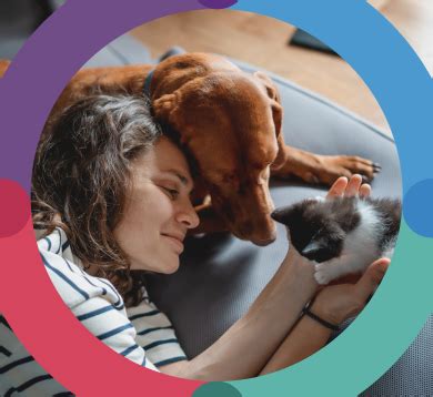 Where To Buy Bravecto | Vet & Retail Stockists | Bravecto Australia