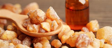origin   ingredients  perfumes