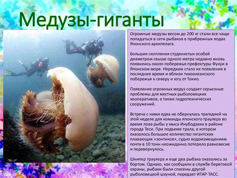 Царство животные - презентация онлайн