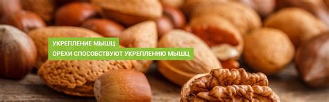 PrimFood