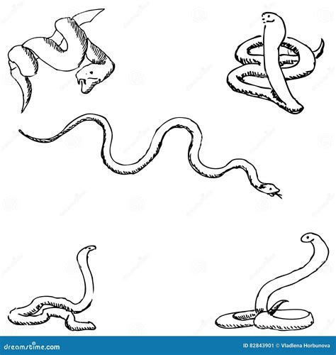 Snakes. a sketch by hand stock vector. Illustration of element - 82843901