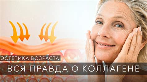 Что ты не знал про коллаген? Для чего нужен коллаген, чем полезен | Как ...