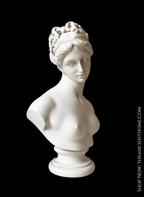 Venus Bust Sculpture - Goddess of Love | Bust sculpture, Roman