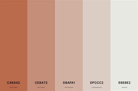 25+ Best Terracotta Color Palettes with Names and Hex Codes di 2024