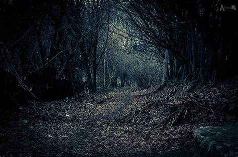 My Modern Met: dark Dream