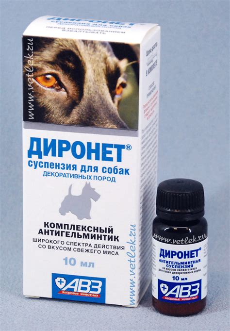Противопаразитарные средства (Антигельминтики (противоглистные)) купить ...