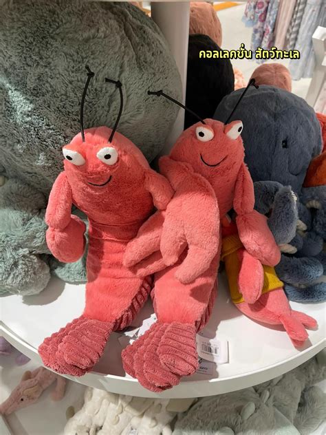 ไอเดียของขวัญ 🎁 ตุ๊กตาที่ดังมากตอนนี้ Jelly cat | แกลเลอรีที่โพสต์โดย