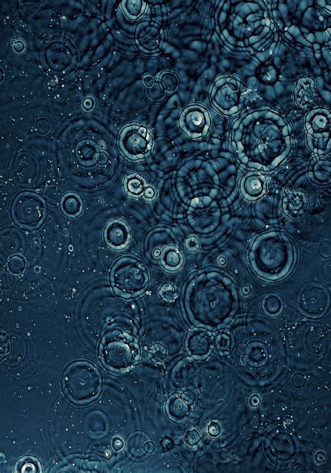 Nikala Bourke | The Henry Jones Art Hotel